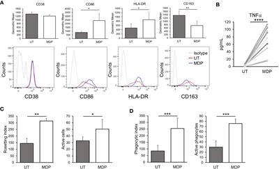 NOD2 activation enhances macrophage Fcγ receptor function and may increase the efficacy of antibody therapy